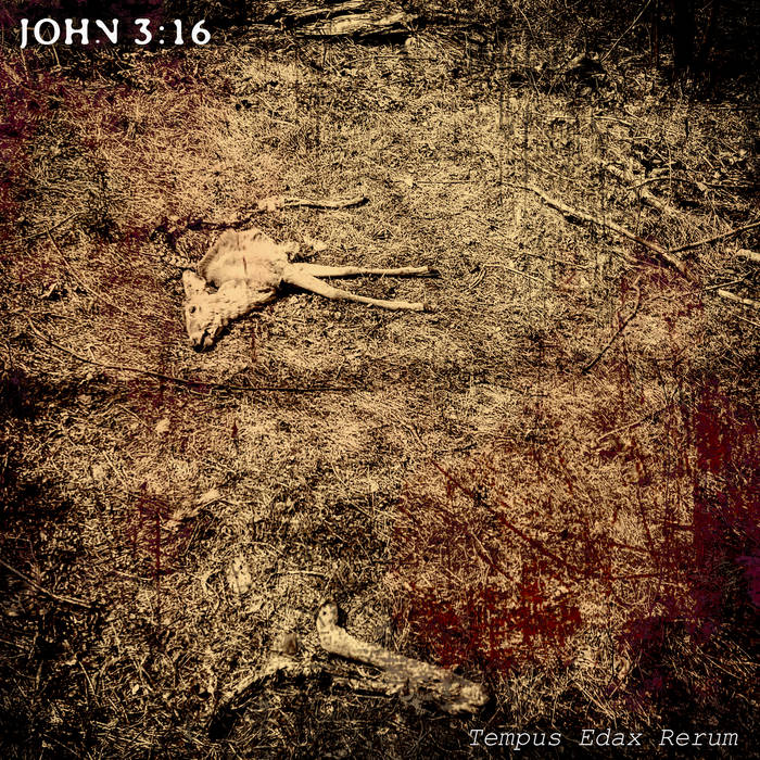 JOHN 3:16 – Tempus Edax Rerum