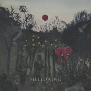 The Pink Elephant – Mellowing