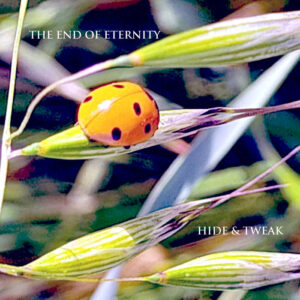 The End Of Eternity – Hide & Tweak