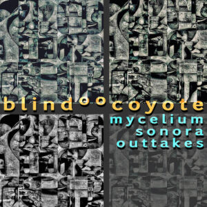 BlindººCoyote – Mycelium Sonora Outtakes