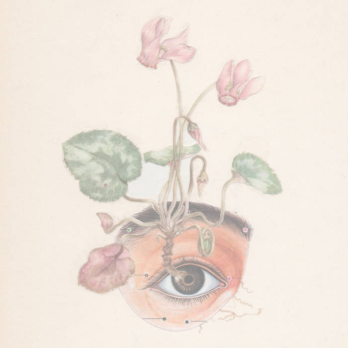 øjeRum – Cut Paper Flowers