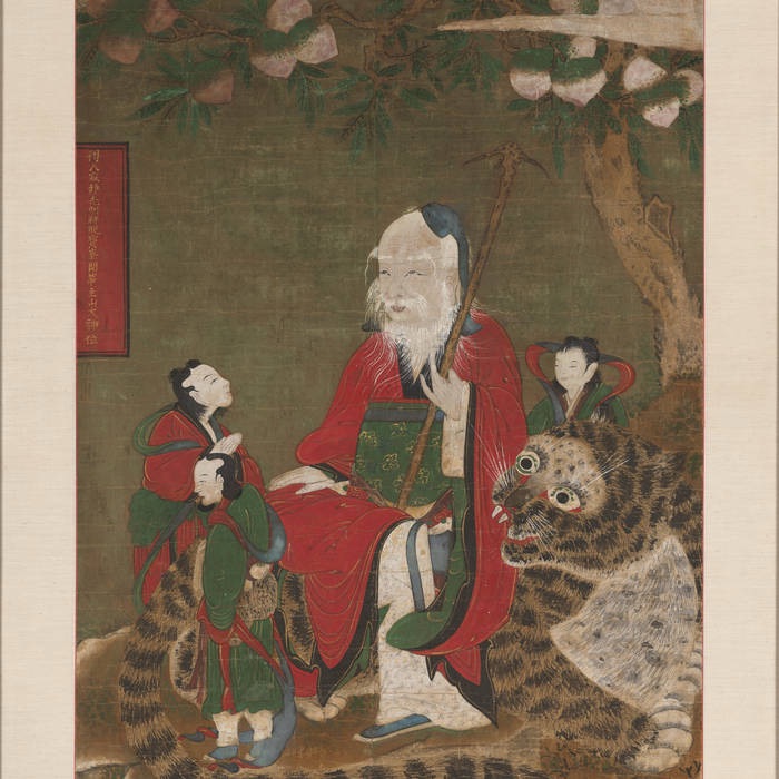 tigermonster – collected dreamories