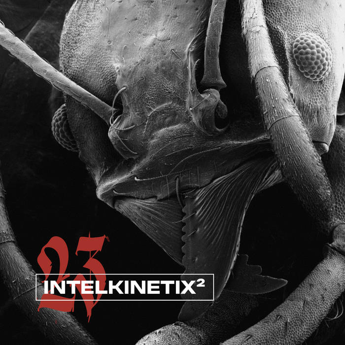 Various Artists – Eternal Turns: intelkinetix²