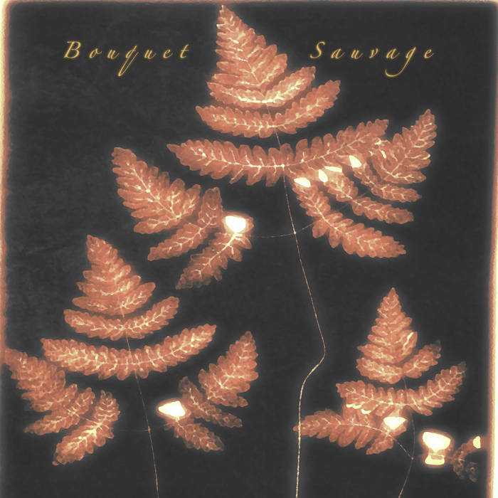 Various Artists – Arborescence: Bouquet Sauvage