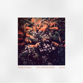 Federico Durand – Té De Flores Silvestres