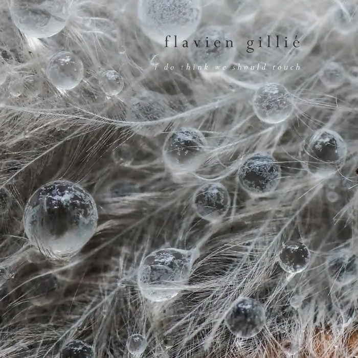 Flavien Gillié – I Do Think We Should Touch